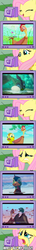 Size: 498x3414 | Tagged: safe, fluttershy, duck, pony, g4, crying, exploitable meme, leafie - a hen into the wild, meme, tv meme