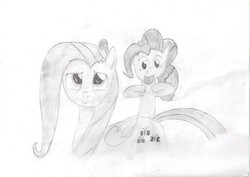 Size: 3509x2481 | Tagged: safe, artist:ed-skar, fluttershy, pinkie pie, bird, g4, high res, traditional art