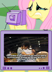 Size: 563x771 | Tagged: safe, fluttershy, pony, g4, exploitable meme, gentaro kisaragi, kamen rider, kamen rider fourze, kengo utahoshi, meme, text, tv meme