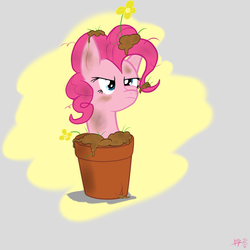 Size: 1300x1300 | Tagged: safe, artist:wonder-waffle, pinkie pie, earth pony, pony, g4, female, plant pot, solo