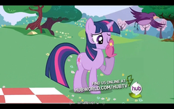 Size: 960x600 | Tagged: safe, screencap, twilight sparkle, a canterlot wedding, g4, letterboxing, youtube caption