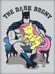 Size: 550x735 | Tagged: safe, artist:zen-orc, fluttershy, human, g4, batman, chair, cuddling, cute, daaaaaaaaaaaw, lap, sitting, smiling, snuggling, stoic