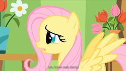 Size: 1344x756 | Tagged: safe, screencap, fluttershy, g4, green isn't your color, mein kampf, youtube caption