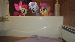 Size: 4000x2248 | Tagged: safe, artist:metalgriffen69, apple bloom, scootaloo, sweetie belle, pony, g4, bath time, bathtub, cutie mark crusaders, irl, photo, ponies in real life, vector