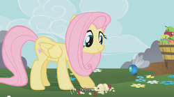 Size: 640x355 | Tagged: safe, screencap, fluttershy, parasprite, g4, hebrew, youtube caption