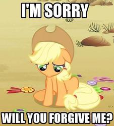 Size: 451x500 | Tagged: safe, edit, edited screencap, screencap, applejack, g4, the last roundup, caption, image macro, medal