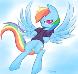 Size: 1280x1208 | Tagged: safe, artist:quitetricky, rainbow dash, pegasus, pony, g4, clothes, female, hoodie, mare, solo