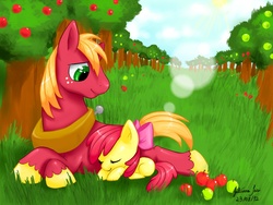 Size: 1200x900 | Tagged: safe, artist:juaiasi, apple bloom, big macintosh, earth pony, pony, g4, apple, male, sleeping, stallion