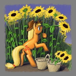 Size: 1600x1600 | Tagged: safe, artist:dahtamnay, applejack, earth pony, pony, g4, butt, female, mare, plot, solo, sunflower