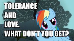 Size: 639x359 | Tagged: safe, edit, edited screencap, screencap, rainbow dash, pegasus, pony, dragonshy, g4, caption, image macro, love and tolerance, solo