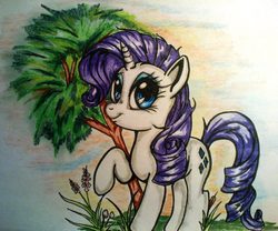 Size: 1745x1449 | Tagged: safe, artist:tomek2289, rarity, pony, g4, solo, traditional art