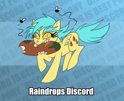 Size: 600x490 | Tagged: safe, discord, sunshower raindrops, oc, oc only, oc:raindrops discord, fly, insect, pegasus, pony, g4, bread, fusion, fusion:discord, fusion:sunshower raindrops, that pony sure does love bread