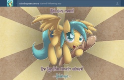 Size: 1035x667 | Tagged: safe, artist:sip, sunshower raindrops, pegasus, pony, g4, baguette, bread, female, food, not a penis, solo, that pony sure does love bread, tumblr