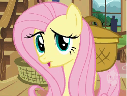 Size: 517x392 | Tagged: safe, screencap, fluttershy, pegasus, pony, a bird in the hoof, g4, season 1, animated, eyebrow wiggle, female, fluttershy's cottage, gif, indoors, looking at you, mare, open mouth, saddle basket, solo