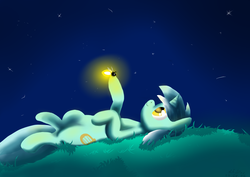 Size: 3507x2480 | Tagged: safe, artist:bewegungslos, lyra heartstrings, firefly (insect), g4, high res, night, on back