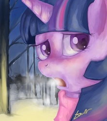 Size: 827x937 | Tagged: safe, artist:oblitor, twilight sparkle, pony, g4, clothes, cold, female, scarf, snow, solo, winter
