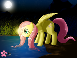 Size: 2592x1944 | Tagged: safe, artist:clouddg, fluttershy, firefly (insect), pegasus, pony, g4, looking at something, moon, night, pond, solo, water, wet mane