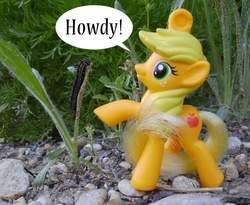 Size: 576x472 | Tagged: safe, applejack, g4, irl, mcdonald's happy meal toys, photo, toy