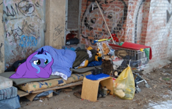 Size: 1047x664 | Tagged: safe, princess luna, human, pony, g4, filly, hobo, homeless, irl, photo, ponies in real life, reality sucks, sad, shopping cart