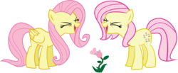 Size: 1328x548 | Tagged: safe, artist:alisonwonderland1951, fluttershy, posey, earth pony, pegasus, pony, g1, g4, duo, duo female, eyes closed, female, flower, flutteryay, g1 to g4, generation leap, mare, simple background, transparent background, yay