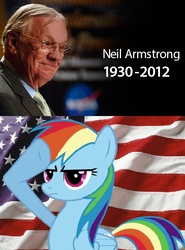 Size: 599x808 | Tagged: safe, rainbow dash, pony, g4, neil armstrong, photo, rest in peace