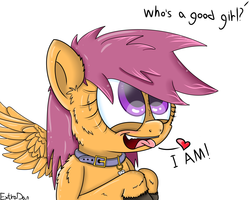 Size: 5000x4000 | Tagged: safe, artist:extradan, artist:extrart, scootaloo, pegasus, pony, g4, collar, cutie mark collar, dialogue, female, femsub, filly, good girl, heart, lesboloo, looking up, offscreen character, pet tag, solo, submissive, tongue out