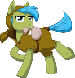 Size: 850x879 | Tagged: safe, artist:hollowzero, crossover, final fantasy, ponified, simple background, thief, transparent background