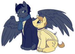 Size: 982x709 | Tagged: safe, artist:quiixotic, earth pony, pegasus, pony, bbc sherlock, clothes, hilarious in hindsight, john watson, male, ponified, simple background, spread wings, stallion, sweater, transparent background, wings