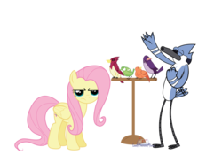 Size: 900x630 | Tagged: safe, artist:lastsecondhero, constance, fluttershy, bird, blue jay, pegasus, pony, g4, crossover, female, male, mare, mordecai, regular show, simple background, singing, transparent background, unamused, vector