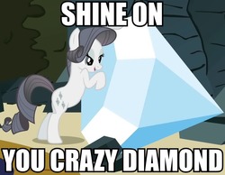 Size: 900x700 | Tagged: safe, rarity, tom, g4, caption, discorded, image macro, pink floyd, shine on you crazy diamond, song reference