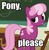 Size: 302x310 | Tagged: safe, cheerilee, earth pony, pony, g4, bitch please, caption, female, image macro, meme, reaction image, solo