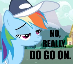 Size: 1200x1050 | Tagged: safe, rainbow dash, g4, bored, caption, hat, image macro, reaction image, sarcasm