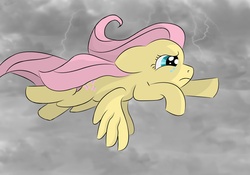 Size: 3436x2409 | Tagged: safe, artist:calamitymane, fluttershy, g4, flying, high res, storm