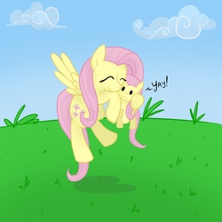 Size: 4000x4000 | Tagged: safe, artist:surgicalarts, fluttershy, g4, female, plushie