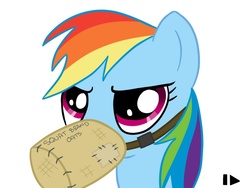 Size: 800x600 | Tagged: safe, artist:elslowmo, rainbow dash, pony, g4, feed bag, female, horses doing horse things, solo