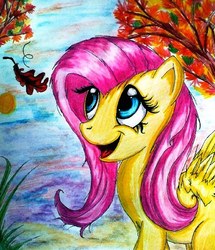 Size: 461x536 | Tagged: safe, artist:tomek2289, fluttershy, g4, autumn, traditional art