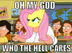 Size: 640x469 | Tagged: safe, fluttershy, g4, family guy, flutter griffin, image macro, male, peter griffin
