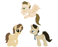 Size: 1183x954 | Tagged: safe, artist:yashathebasher, alicorn, pegasus, pony, castiel, dean winchester, male, ponified, sam winchester, simple background, solo, stallion, supernatural, transparent background