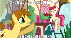 Size: 1280x686 | Tagged: safe, mandopony, roseluck, earth pony, pony, beyond her garden, picture perfect pony, g4, butt, caption, female, image macro, male, mare, meme, plot, rose, rosebutt, song reference, stallion, tactless mandopony