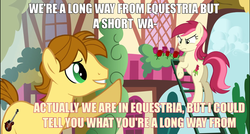 Size: 1280x686 | Tagged: safe, mandopony, roseluck, earth pony, pony, picture perfect pony, g4, butt, caption, female, image macro, ladder, male, mare, meme, plot, rose, rosebutt, roseluck is not amused, song reference, stallion, tactless mandopony, unamused