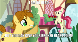 Size: 1280x686 | Tagged: safe, mandopony, roseluck, earth pony, pony, picture perfect pony, g4, butt, caption, female, image macro, ladder, male, mare, meme, plot, rose, rosebutt, song reference, stallion, tactless mandopony, this didn't age well