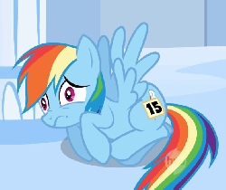 Size: 640x540 | Tagged: safe, screencap, rainbow dash, pegasus, pony, g4, sonic rainboom (episode), 15, animated, cowering, cutiemarking, female, fetal position, frown, horrified, hub logo, mare, prone, scared, scaredy dash, shivering, solo, spread wings, wide eyes, wings