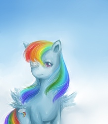 Size: 480x550 | Tagged: safe, artist:na-no-chan, rainbow dash, g4, duo, eyepatch