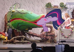 Size: 360x257 | Tagged: safe, twilight sparkle, pony, g4, audrey 2, carnivorous plant, female, head first, little shop of horrors, mare, photo, preylight, vore