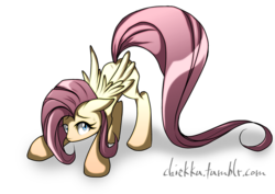 Size: 900x636 | Tagged: safe, artist:chiekku, fluttershy, pegasus, pony, g4, face down ass up, female, floppy ears, folded wings, looking at you, mare, simple background, solo, standing, sweat, sweatdrop, three quarter view, transparent background, wings