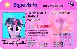 Size: 480x305 | Tagged: safe, twilight sparkle, pony, g4, driver's license, female, solo