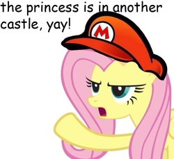 Size: 500x458 | Tagged: safe, fluttershy, g4, cap, crossover, hat, in another castle, mario's hat, meme, nintendo, super mario