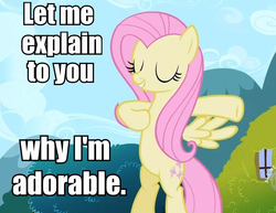 Size: 672x518 | Tagged: safe, fluttershy, g4, cute, image macro