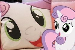 Size: 933x622 | Tagged: safe, sweetie belle, g4, cute, hi anon, meme, photo, pillow