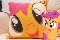 Size: 933x622 | Tagged: safe, scootaloo, g4, cute, hi anon, meme, photo, pillow